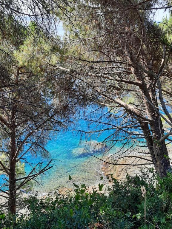 Appartamento Il Vicoletto La Spezia Exteriér fotografie