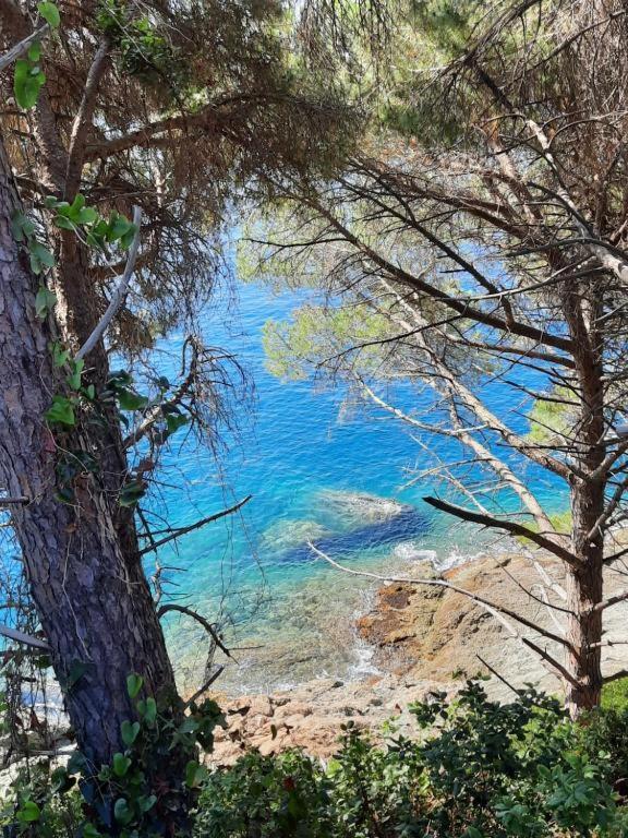 Appartamento Il Vicoletto La Spezia Exteriér fotografie